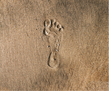 How Big is Your Environmental Footprint? Learn the Benefits of Toner Cartridge Recycling in Ann Arbor!
